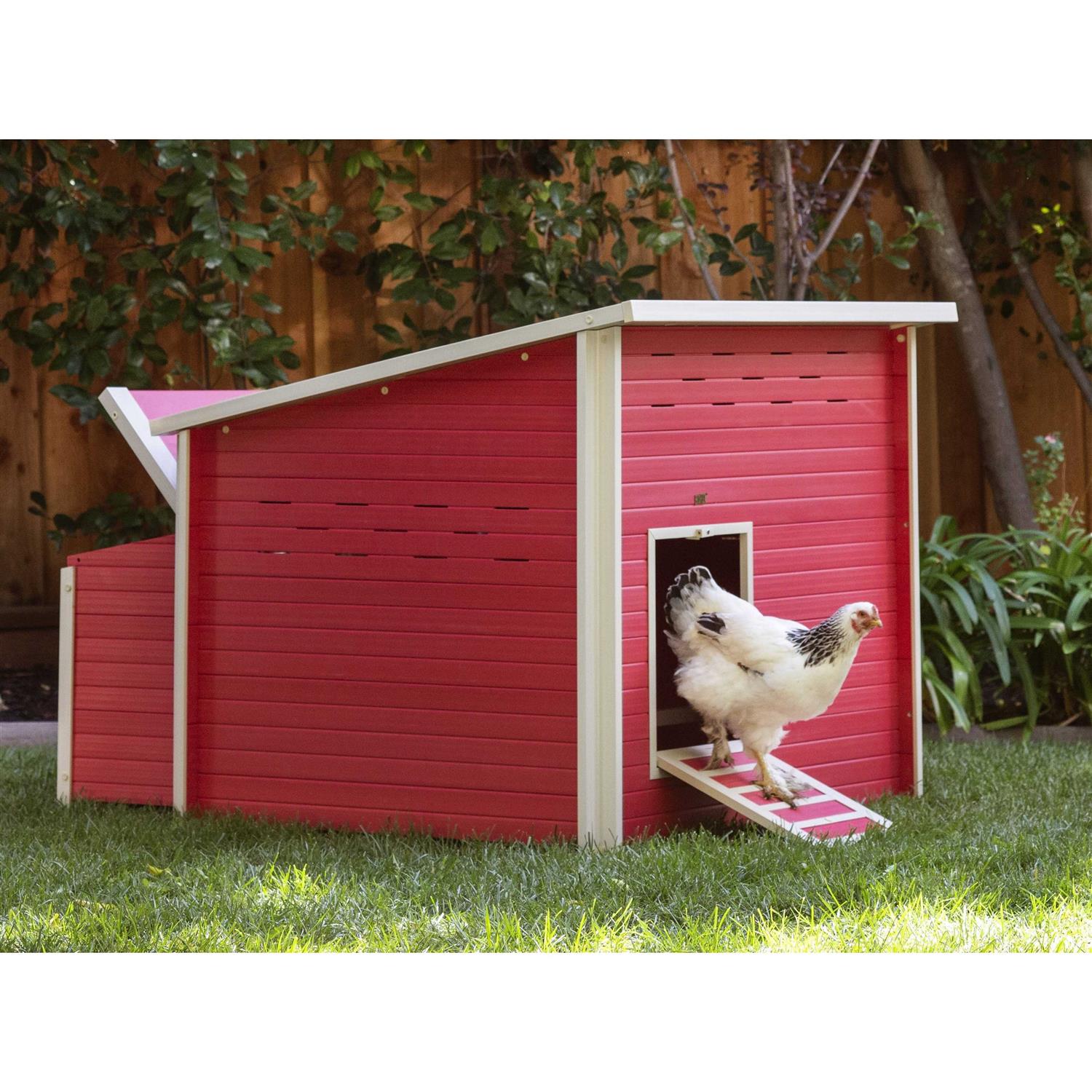 New Age Pet Ecoflex Jumbo Fontana Chicken Barn - Pet Supplies online store