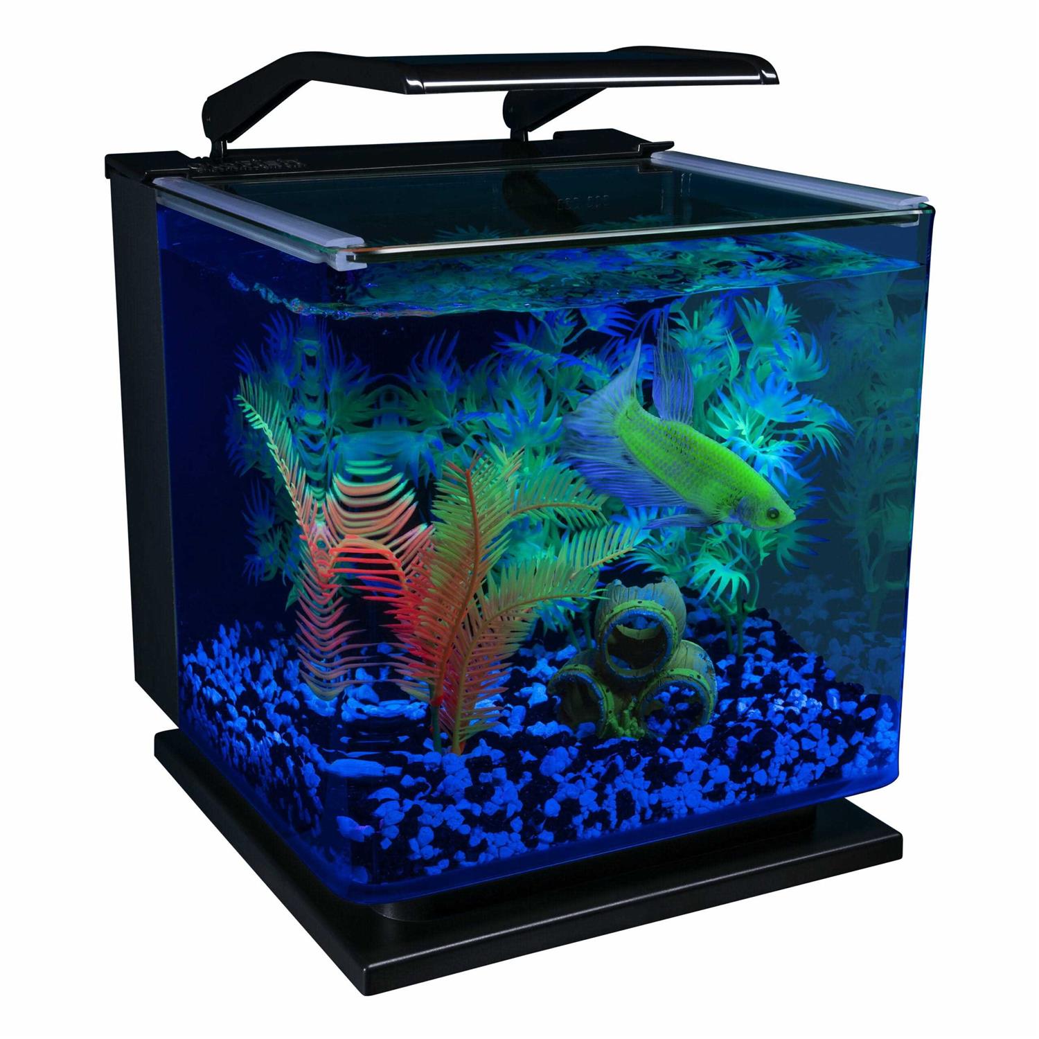 Glofish Betta Aquarium Kit 3 Gallons, Includes LED Lighting and Filter - Pet Supplies online store