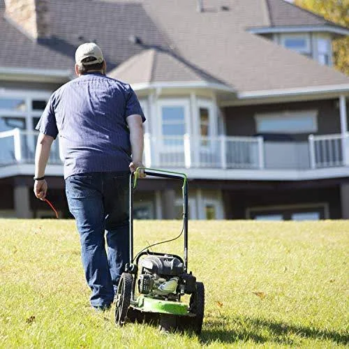 Tazz One-Piece Steel Deck, 22” Cutting Swath, Never Kill, Fold Down Handlebars 35258 Walk-Behind String Mower/Trimmer, 150cc 4-C