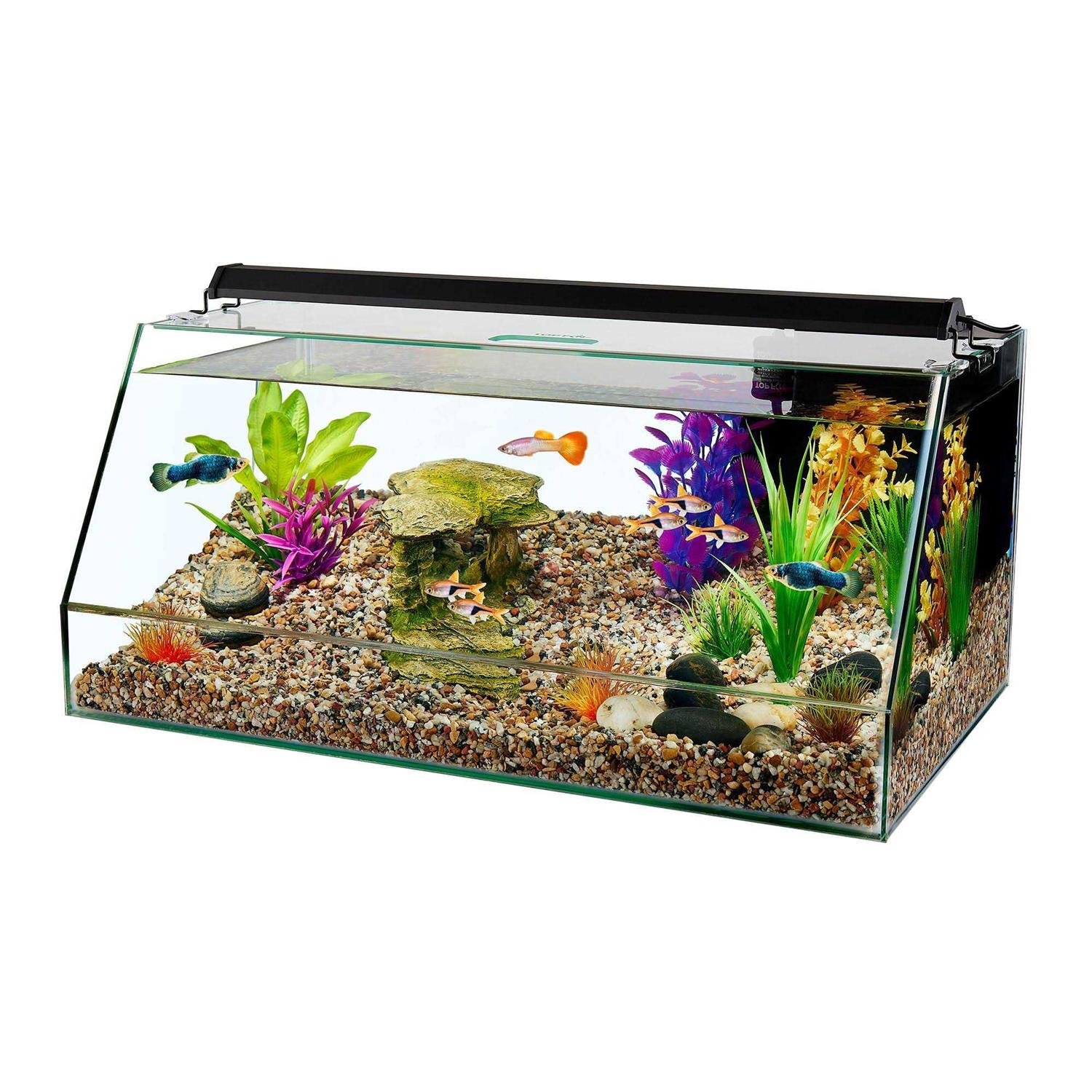 Top Fin Angledal Aquarium - Pet Supplies online store