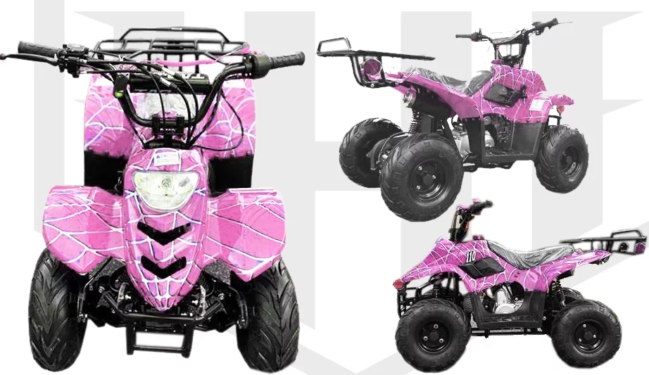 Red Spider Taotao 110cc Raider 6 Kids Air Cool, Single Cylinder ATV