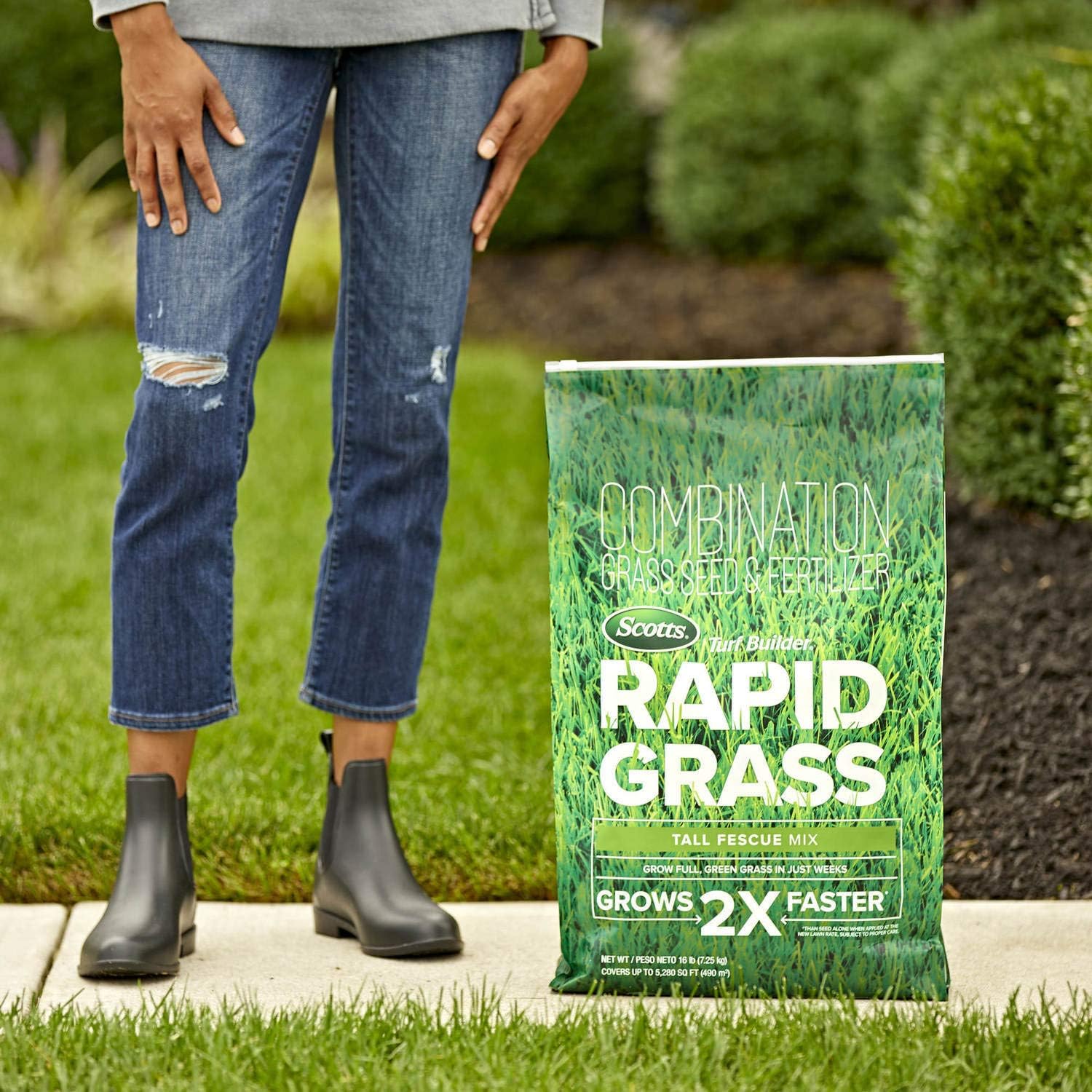 Scotts Turf Builder Rapid Grass Tall Fescue Mix: up to 5,280 sq. ft., Combination Seed & Fertilizer, Grows in Just Weeks, 16 lbs. Pack of 2