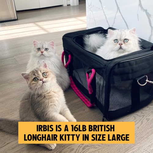 ROVERLUND Airline-Compliant Pet Carrier | Includes Leash