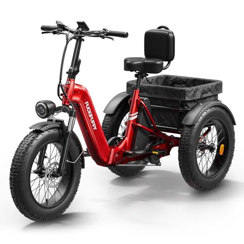 Electric Trike for Adult with 750W Motor, 48V 18AH Cells Battery, Pickup Class 500 LB Load Electric Tricycle with 20" Fat Tire and Large Basket, 60 Miles Range, for City and Mountain Road