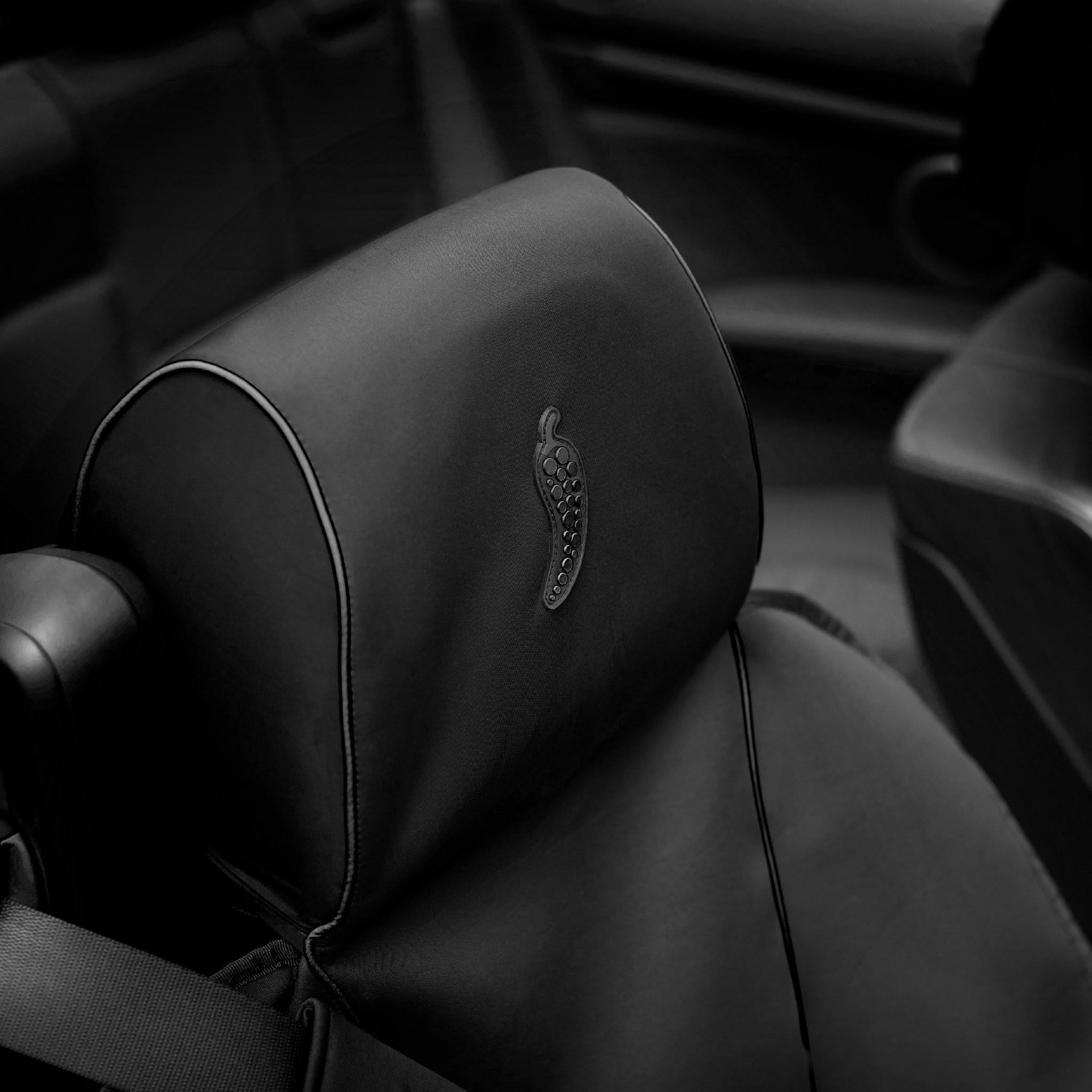 Dry Rub Spicy 2.0: Car Seat Cover Massage System + Trigger Point Balls Charcoal