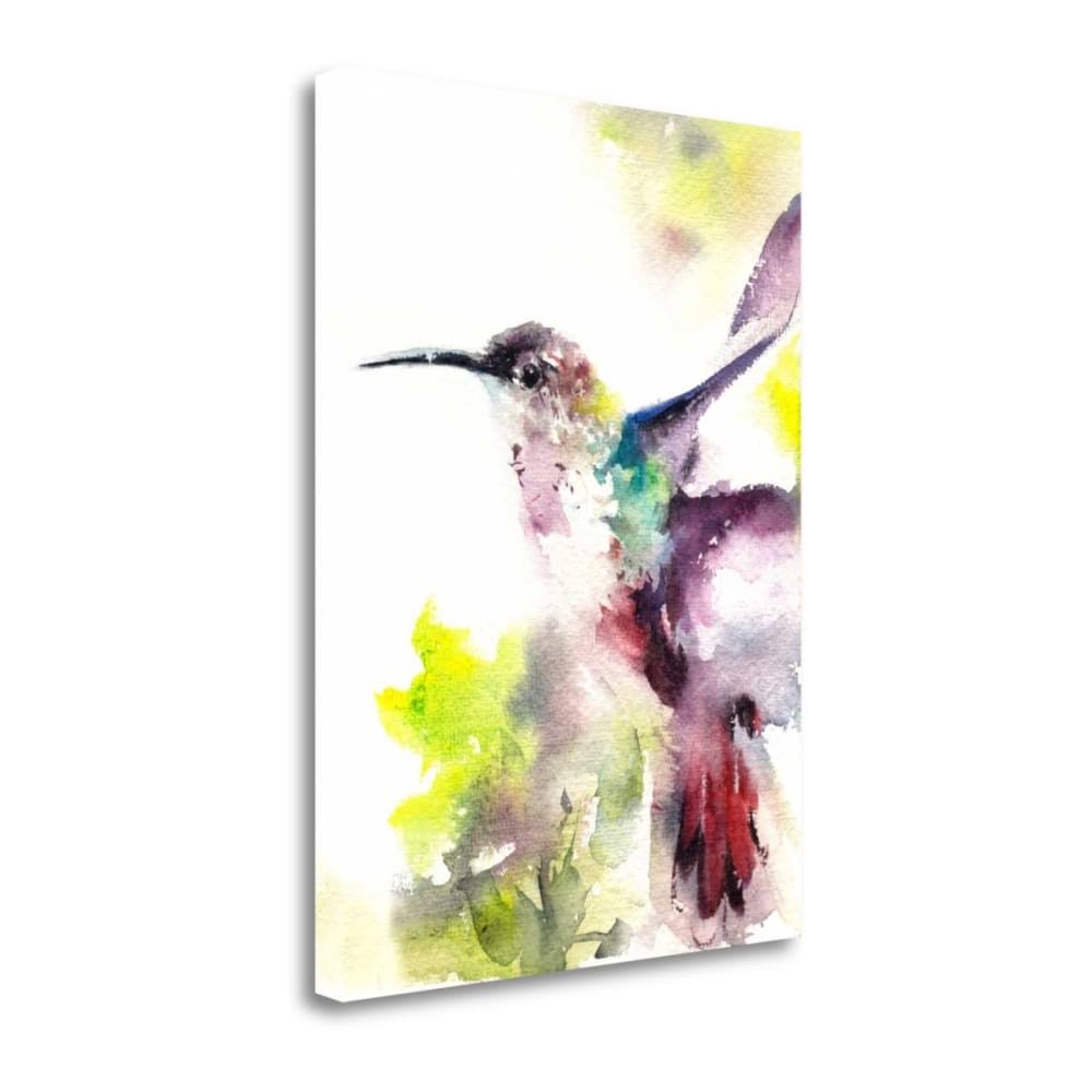 24x22 x 19x22 Hummingbird by Canotstop Fine Art Giclee Print