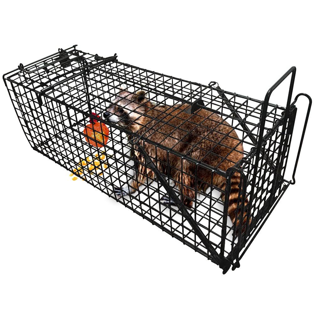 Humane Live Animal Trap 31X10.5X11.5 Catch Release Cage for Large Nuisance Rodents Control Raccoon Mole Gopher Opossum Skunk