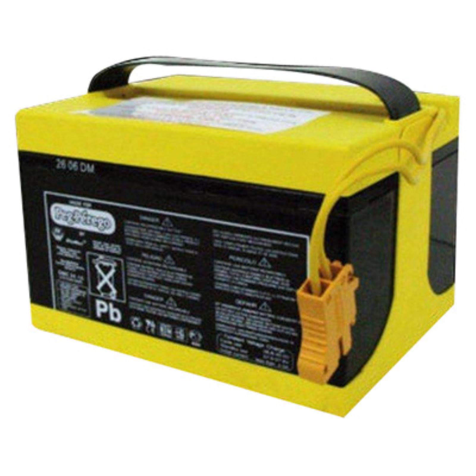 Peg Perego 24 Volt Battery