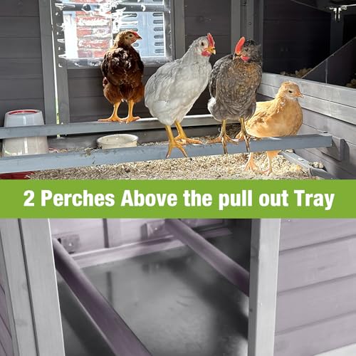 GUTINNEEN Chicken Coop Outdoor Chicken House with Nesting Box Waterproof Duck Coop for Backyard.Raise Legs