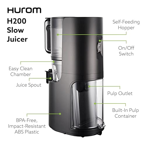 Hurom H-200 Easy Clean Model