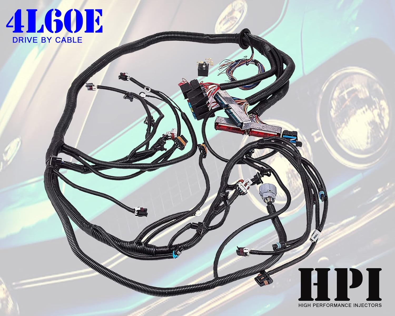 HPI 97-06 LS1 STANDALONE Wire Harness 4.8 5.3 6.0 VORTEC w/60A Relay (Drive by Cable) (RED/Blue PCM) & EV1 Fuel Injector CONNECTORS for Harness SWAP (4L60E)