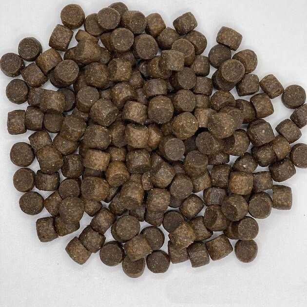 Team Dog Essential Blend Premium Dog Food - Pet Supplies online store