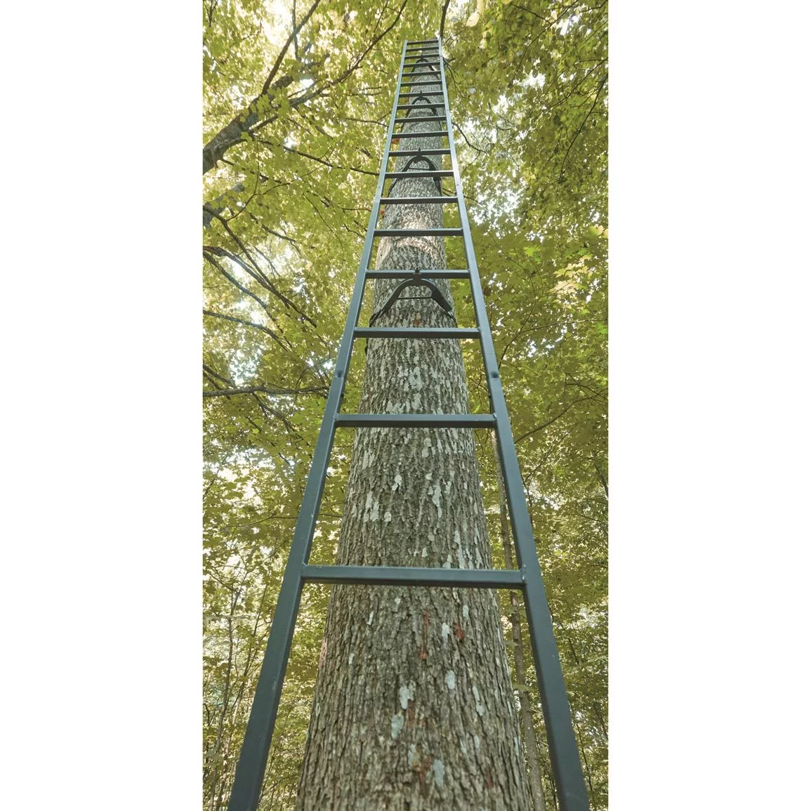 Guide Gear 20' Wide Maxi Tree Stand Ladder Climbing Equipment for Hunting Gear and Accessories