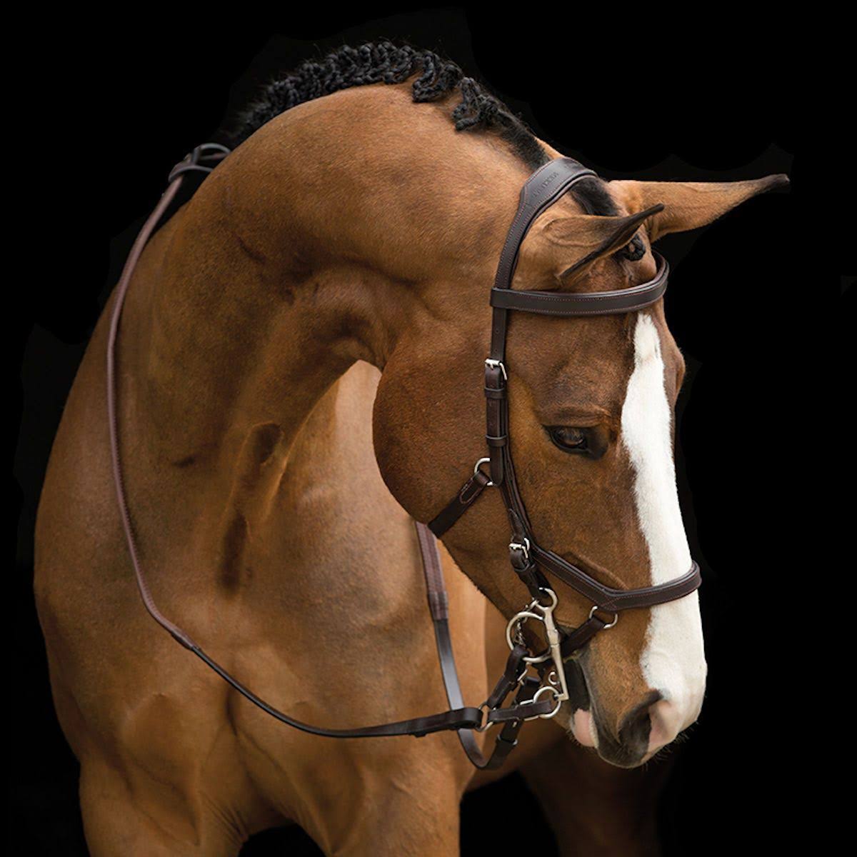 Rambo Micklem Competition Bridle - Brown
