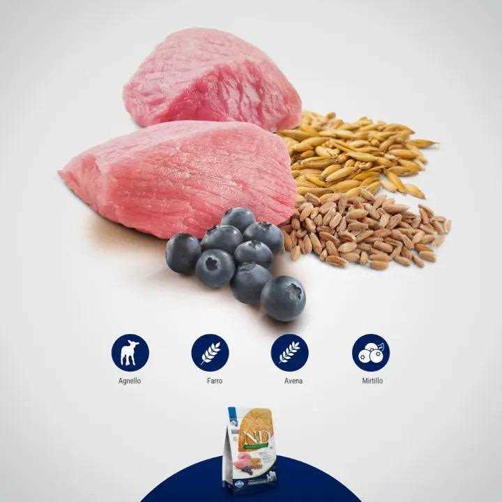 Farmina N&amp;D Ancestral Grain Lamb &amp; Blueberry Mini Adult Dry Dog Food - Pet Supplies online store