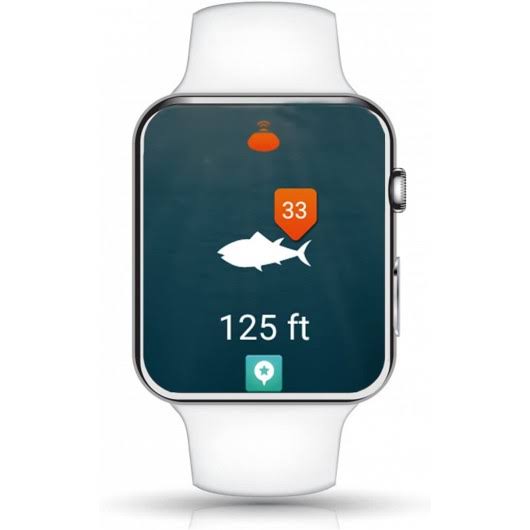 iBobber Pulse with Fish Attractor Wireless Bluetooth Smart Fish Finder