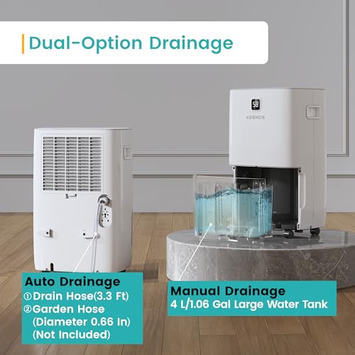Home Dehumidifier