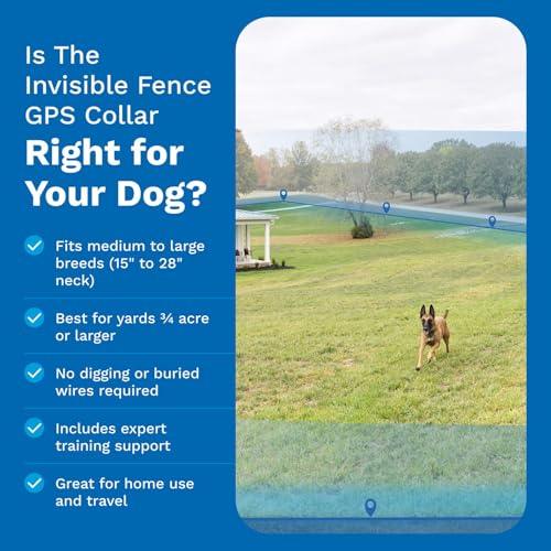 Invisible Fence GPS Dog Fence & Tracking Collar Bundle with Training Flags (White) & Treat Bag (Blue), Wireless GPS Tracker Collar, for Medium & Large Dogs, Waterproof - 1 Year Subscription Included