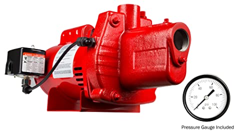 Red Lion RJS-50-PREM Premium Cast Iron Shallow Well Jet Pump