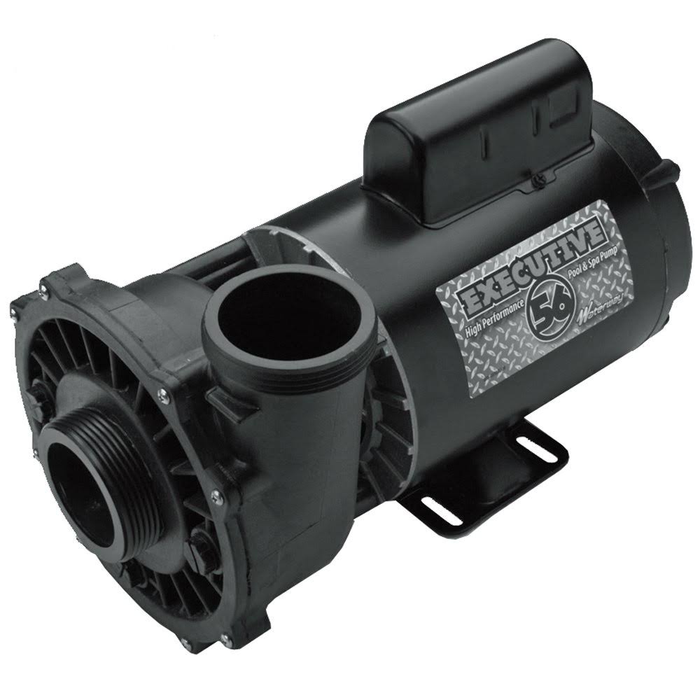 Waterway 3721221-1D 56 Frame 3HP 230V Executive 2 Speed Spa Pump
