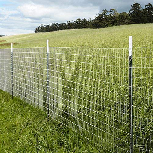 Fencer Wire 14 Gauge Galvanized Welded Wire Mesh Size 2 inch by 4 inch (5 ft. x 50 ft.)