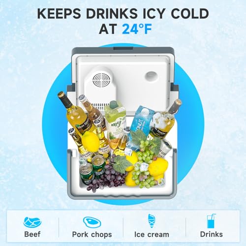 SHAREWIN Electric Cooler & Warmer with Handle Portable Thermoelectric Fridge for Vehicles & Trucks with 110V AC & 12V DV, Portable Refrigerator for Camping, Mini Car Refrigerator
