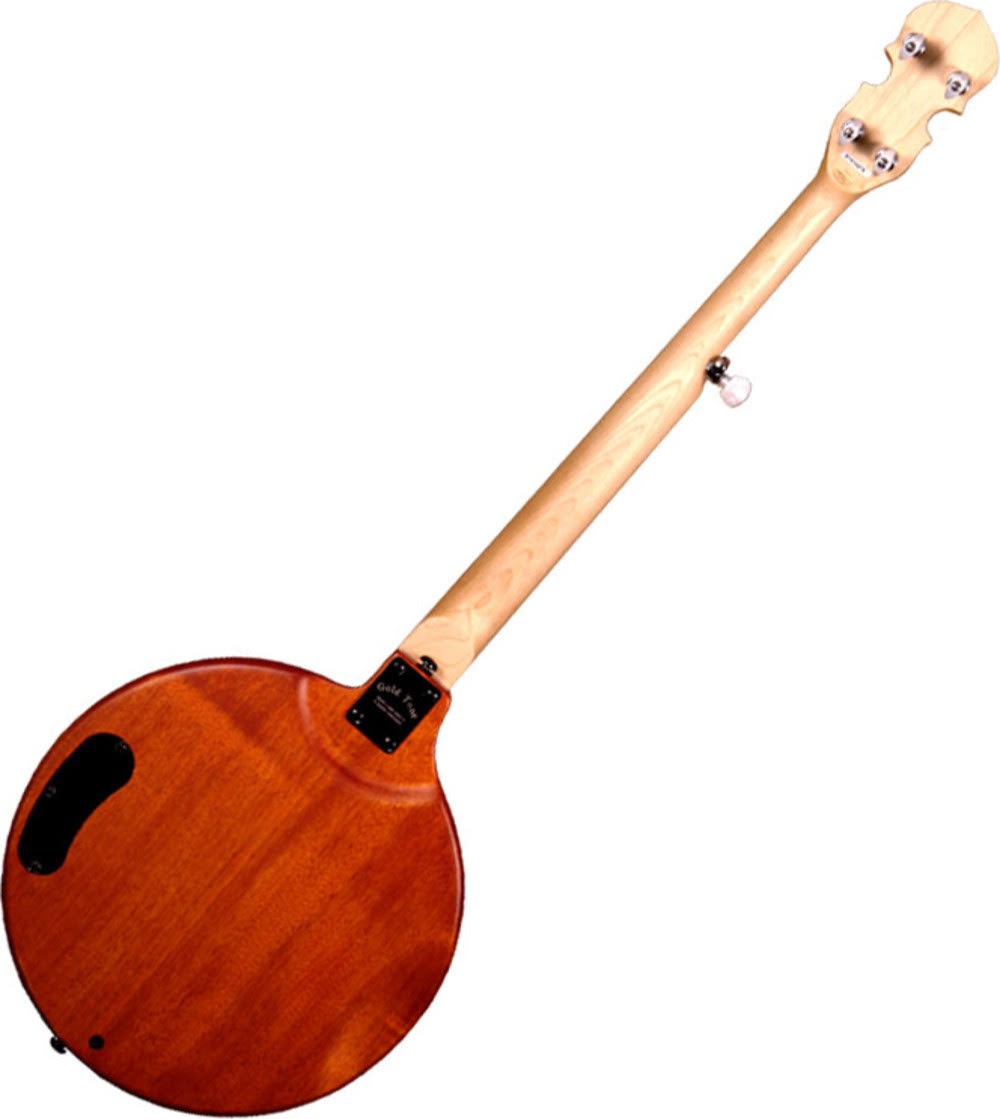 Gold Tone EB-5 Electric Banjo