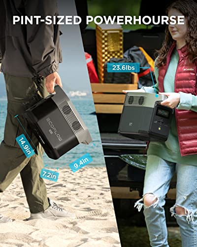 EF ECOFLOW Portable Power Station DELTA Mini Bundle