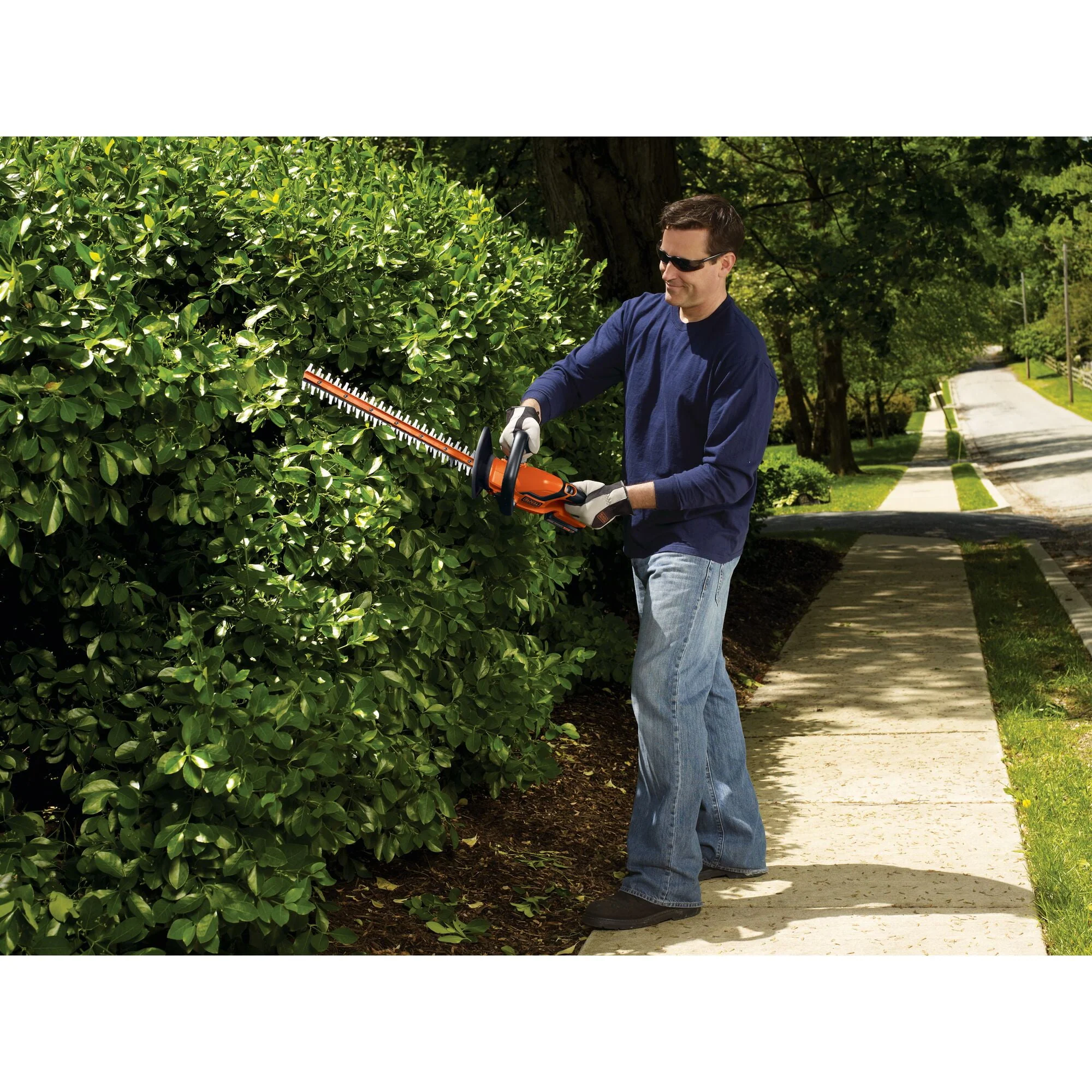 BLACK+DECKER LHT2220 20V MAX* Cordless Lithium 22 in. Hedge Trimmer