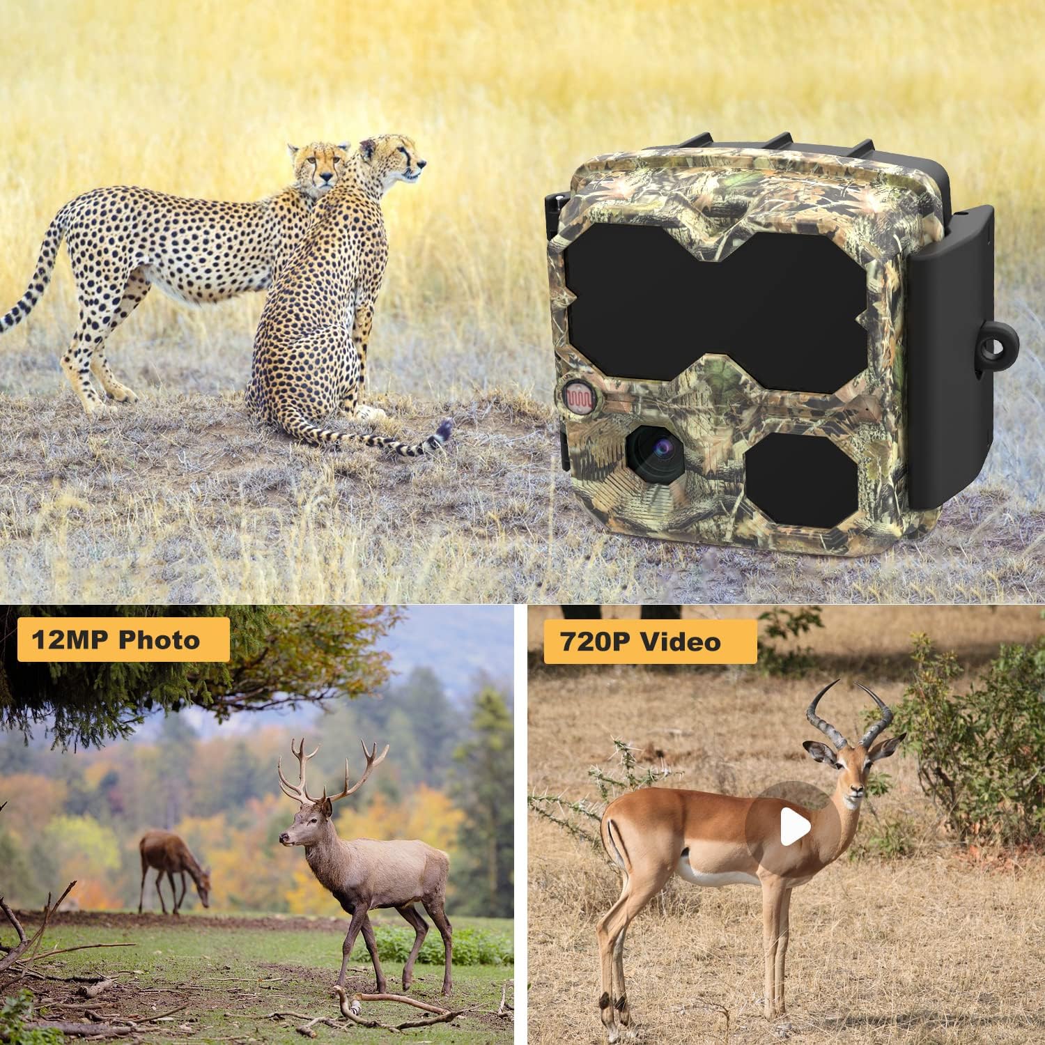Mini Trail Camera 12MP 1080P, Hunting Camera Waterproof IPX6 Game Camera with Night Vision Motion Activated Video Cam for Wildlife Detecting, Home Security (No Grow) Pack of 2
