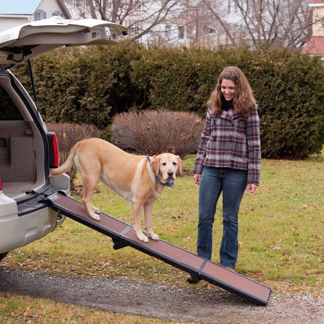 Pet Gear Travel-Lite Tri-Fold Pet Ramp - Pet Supplies online store