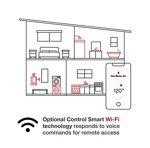 Rinnai Tankless Hot Water Heater