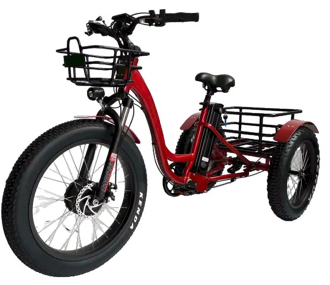 Fat Tire Three-Wheel Bike Electric Snow Trike for Adults