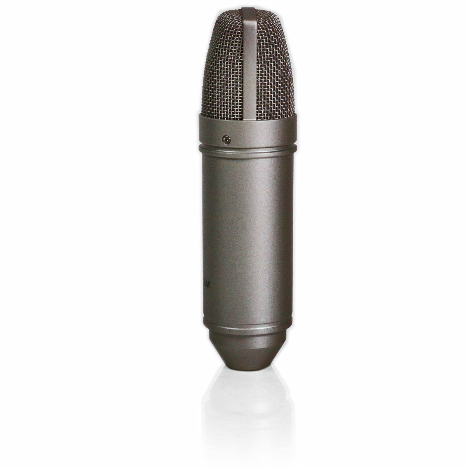 Tascam TM-80 Microphone
