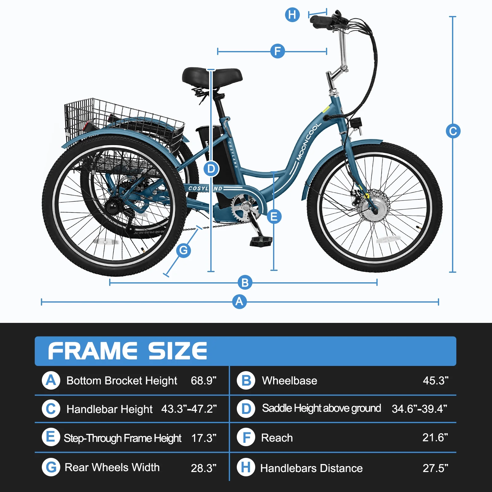 NAIZEA 24" 3 Wheel Electric Bike for Senior, 350w Adults Electric Trike, Three Wheel Ebike Bicycle with Removable 36V 10Ah Lithium Battery, Motorized Trike with Basket for Women Men