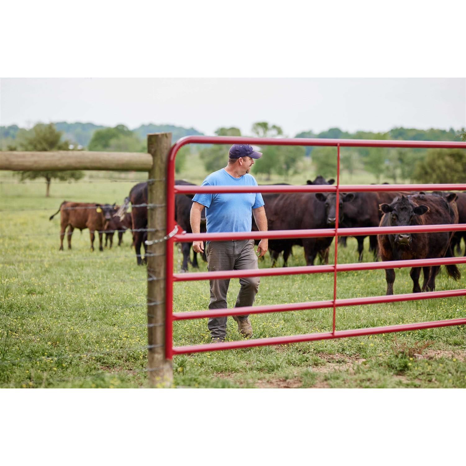 Tarter 6-Bar Economy Tube Gate 6ER6 - Shop Hardware Tools Online Store
