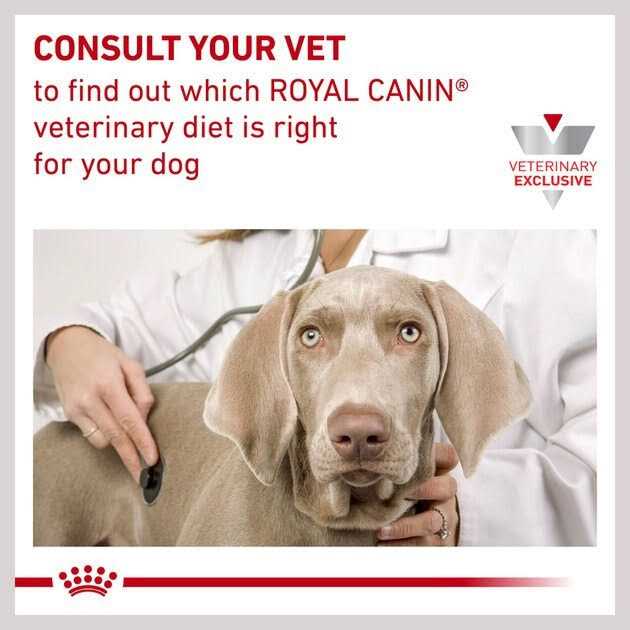 Royal Canin Veterinary Diet Adult Hydrolyzed Protein Loaf Canned Dog Food - Pet Supplies online store