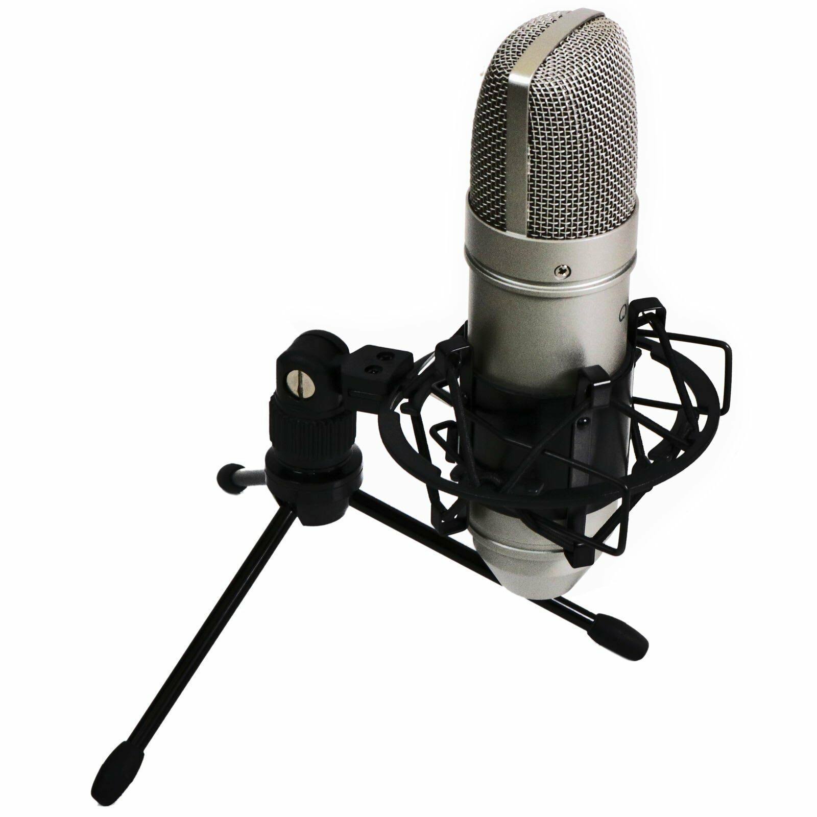 Tascam TM-80 Microphone