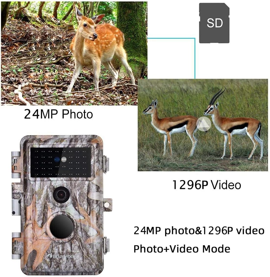 4-Pack Game & Deer Trail Cameras 24MP 2304x1296P H.264 Video for Hunting Wildlife and Home Security No Glow Night Vision Time Lapse Motion Activated Waterproof & Password Protected