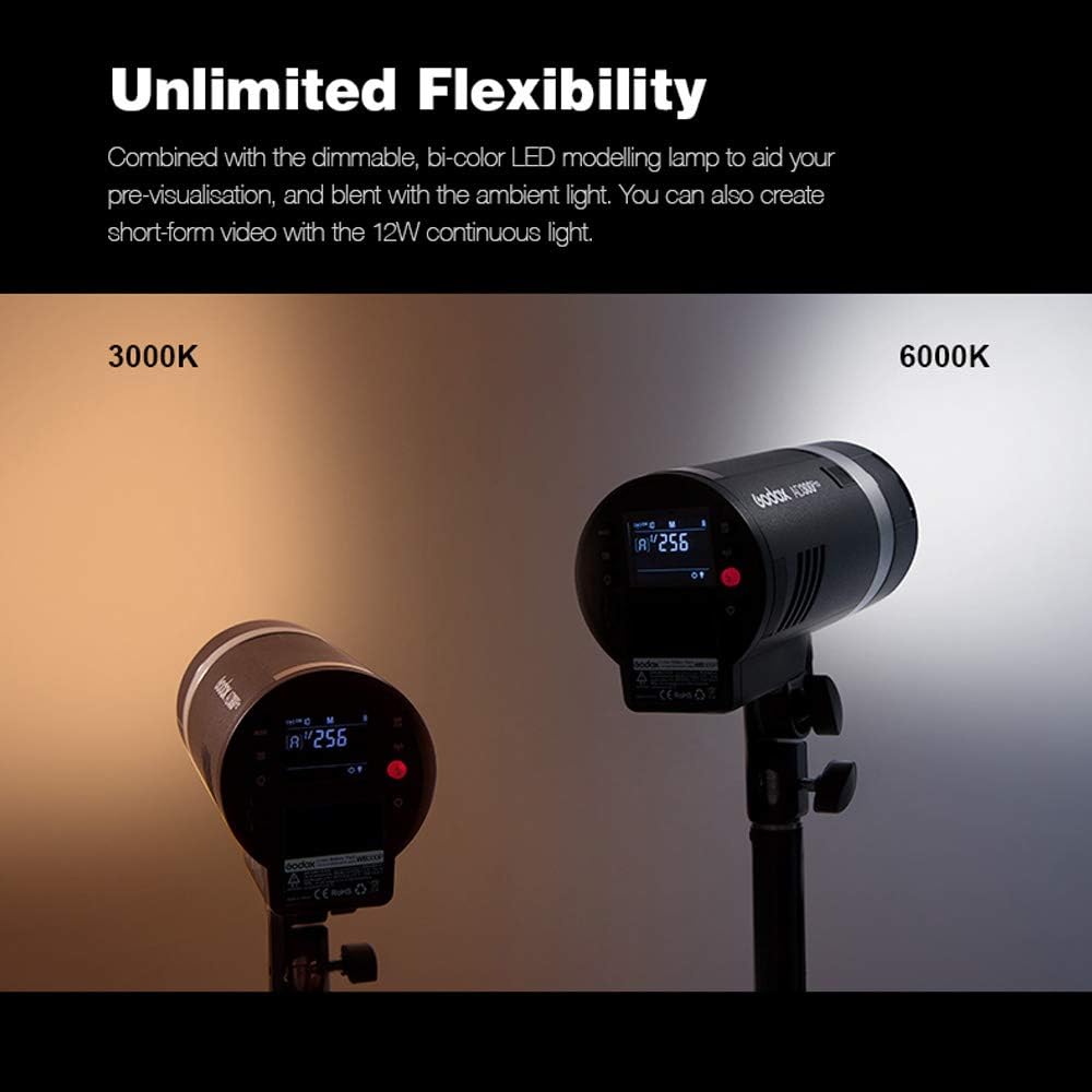 Godox AD300Pro AD300 Pro, 300W 2.4G TTL Flash Strobe Monolight, 1/8000 HSS, 0.01-1.8S Recycle Time, 300 Full Power Pops, 5600±100K, 12W Brightness Adjustable Bi-Color Modeling Led, W/Handheld Grip