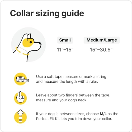 Halo Collar 3 - GPS Dog Fence - Multifunction Wireless Dog Fence & Training Collar with Real-Time Tracking & GPS - Waterproof, Create Up to 20 Wireless Fences