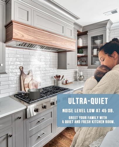 Insert/Built-in Range Hood, Ultra Quiet, Powerful Suction Stainless Steel Ducted Kitchen Vent Hood with Dimmable LED Lights, 3-Speeds 600CFM