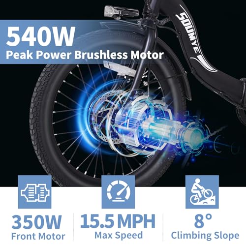 Electric Tricycle 20" 3 Wheels Electric Trike for Adults Women Men | Folding, Electric Bicycle Bikes, 350W, Step-Thru, Etrike, 374WH, Removable Battery, Large Basket
