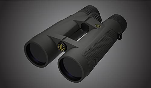 Leupold BX-5 Santiam HD Binocular