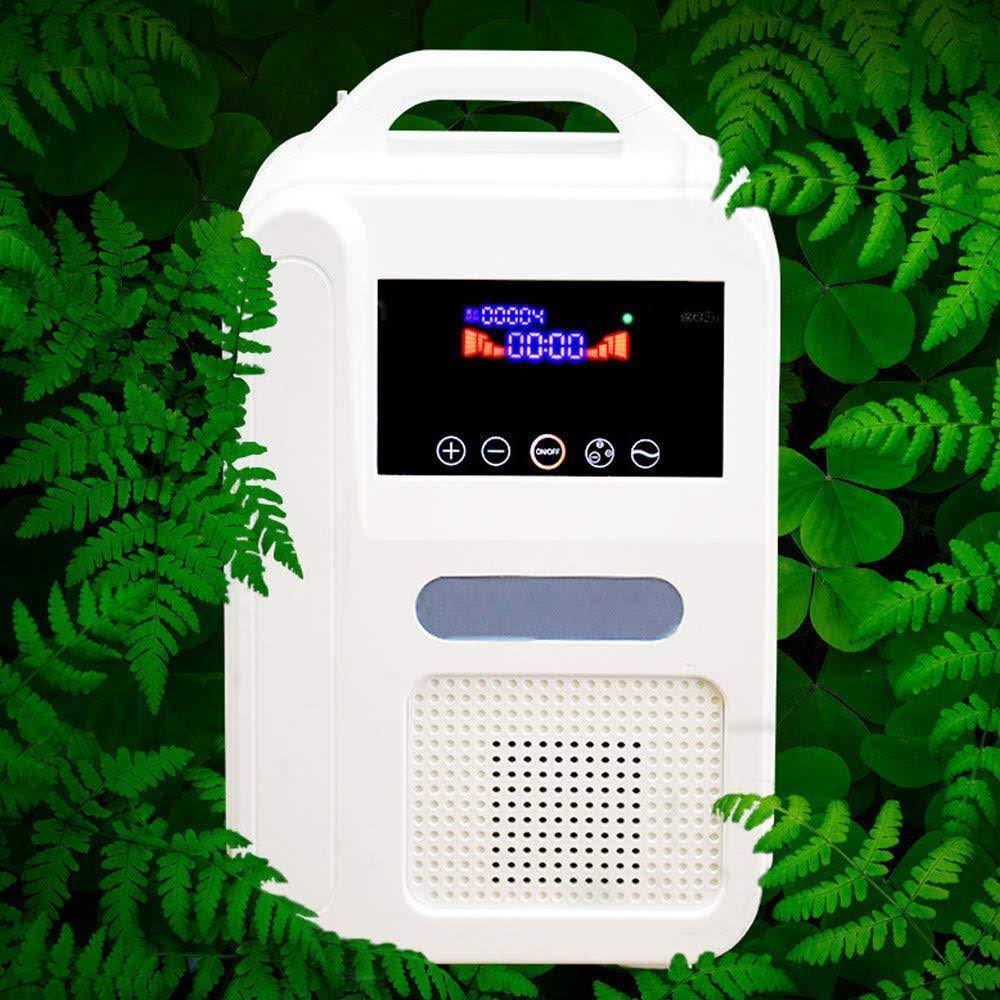 Home/Car Oxygen Concentrator KJ-8001