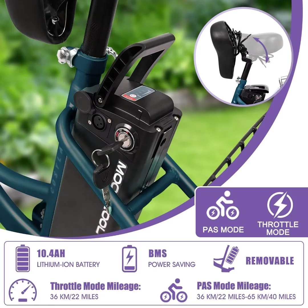 Docred 24'' Adult Electric Tricycles 3 Wheel Electric Bike, 15.5 mph 500W Electric Trikes for Seniors .7-Speed & 4 Adjustable Riding Modes Electric Tricycle with 36V Removable Lithium Battery