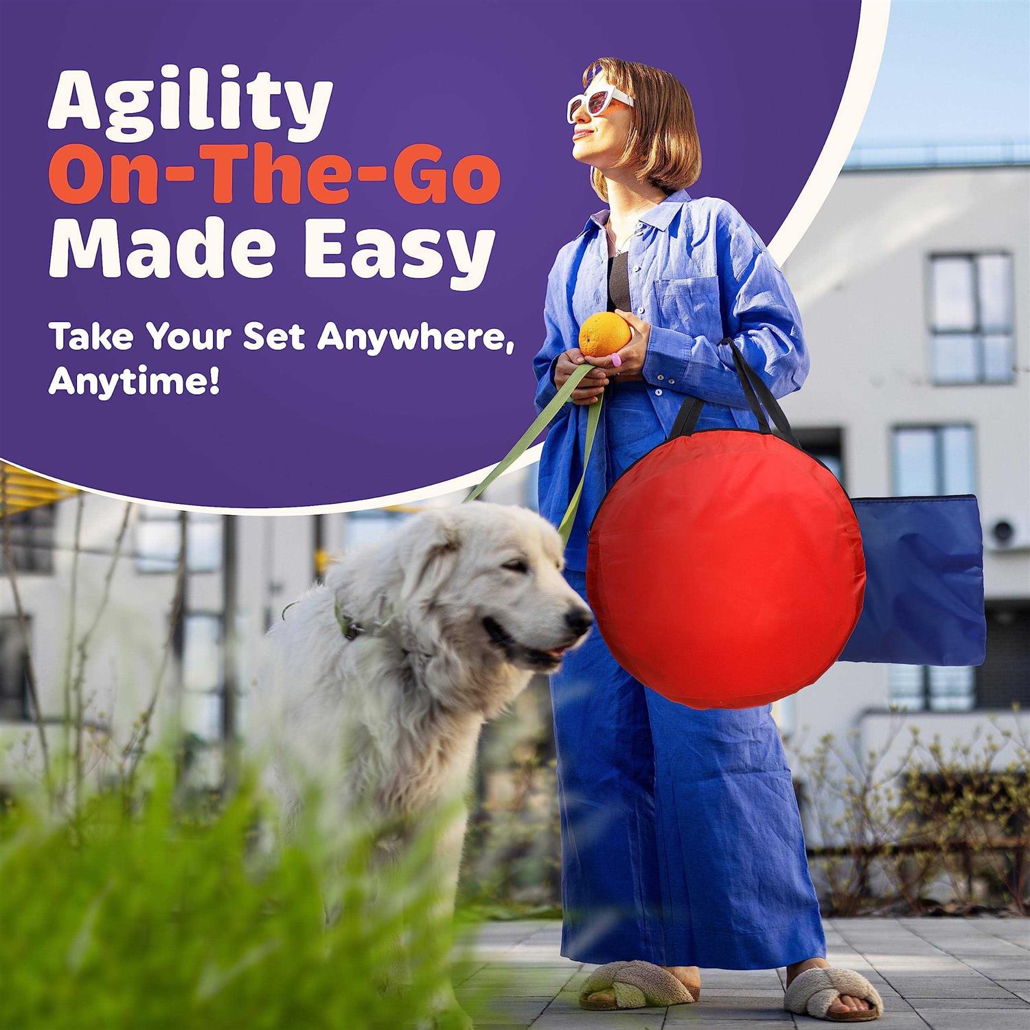 Willow Pet Products 15 Piece Dog Agility Course Backyard Set Dog Agility Training Equipment Set Includes - Pet Supplies online store