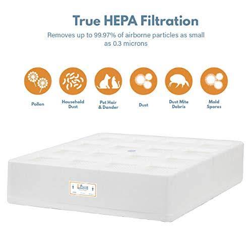 Filter-Monster Branded Replacement Filter Bundle Compatible with IQAir HealthPro Series Air Purifier Filters