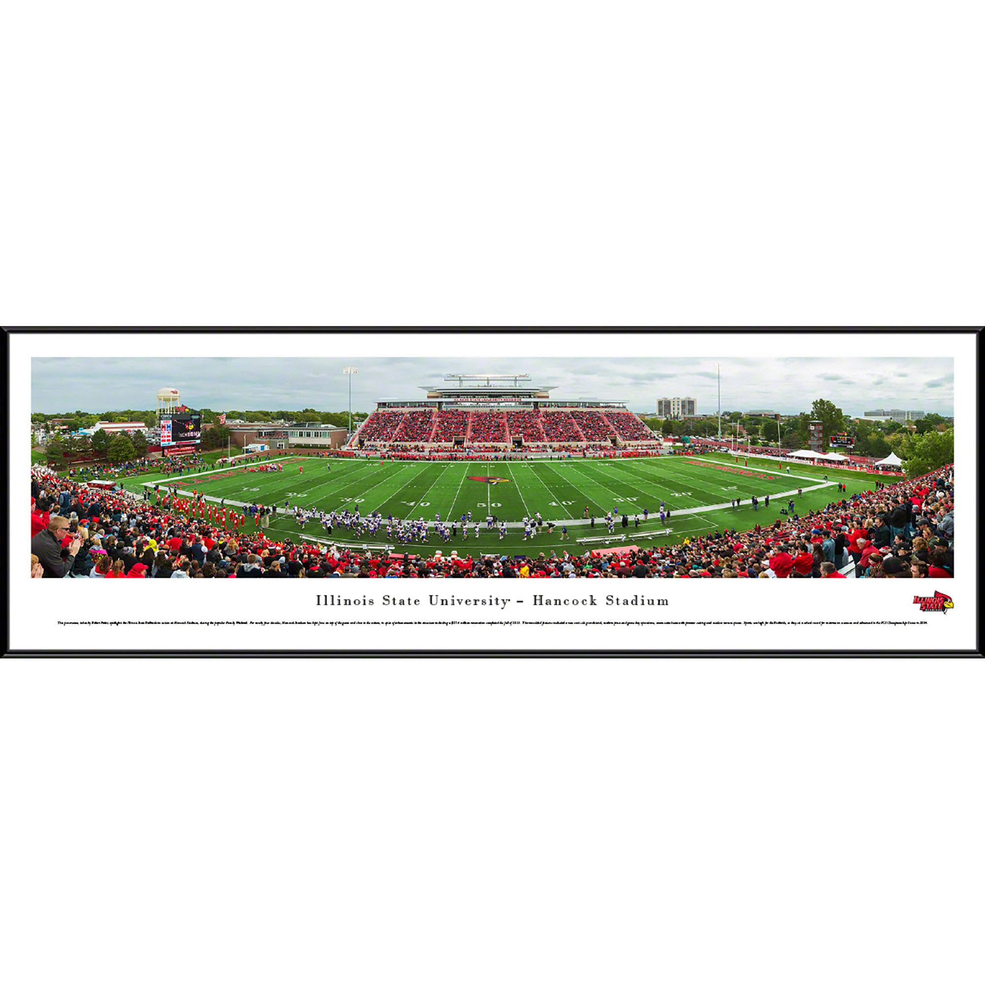 Arkansas Razorback Football - Stripe - Deluxe Frame