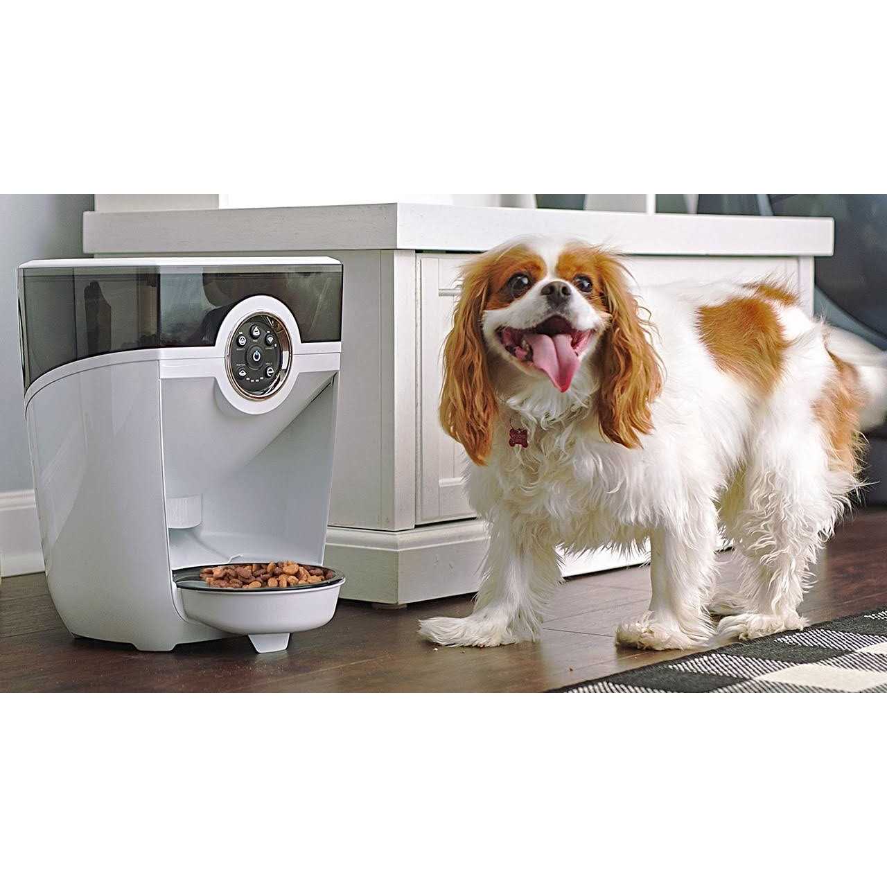 Whisker Feeder-Robot Wi-fi Cat &amp; Dog Auto-Feeder with Hopper &amp; Backup Battery Compatibility - Pet Supplies online store